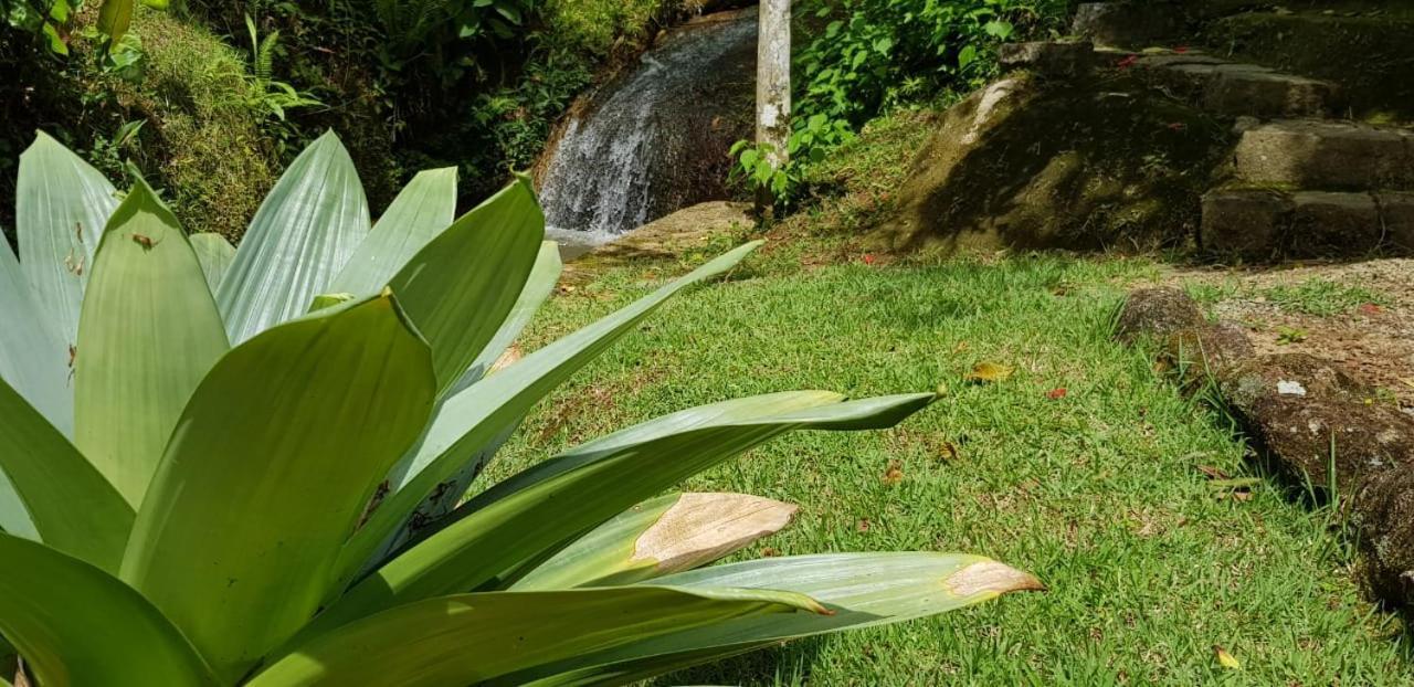 Vertente das Águas Lumiar Esterno foto